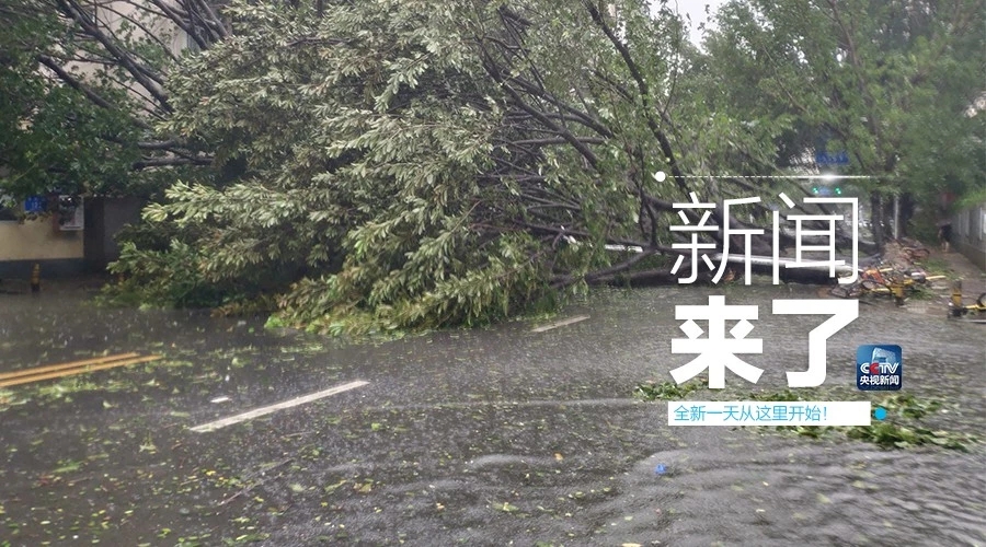 “山竹”怒過，高空塔吊你還好嗎？